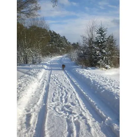Vakantiehuis In Het Dorp *