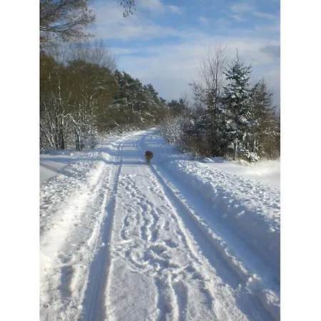 Дом отдыха In Het Dorp *