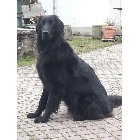 In Het Dorp Bleckhausen