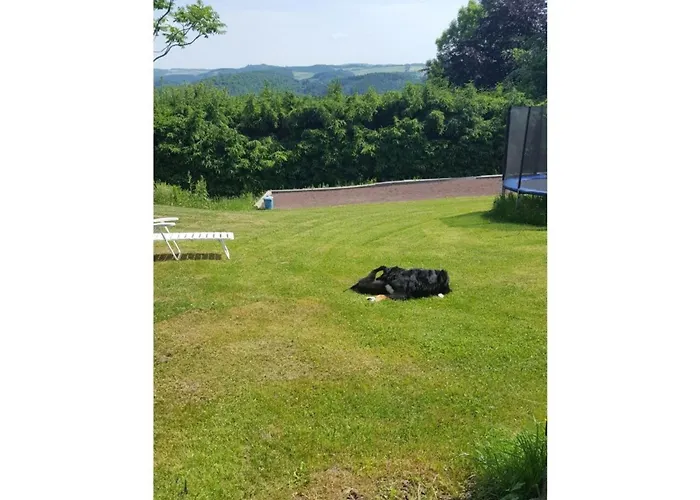 Ferienhaus In Het Dorp