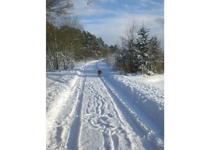 Dom wakacyjny In Het Dorp *