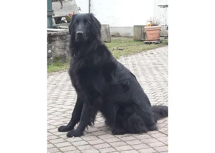 In Het Dorp Bleckhausen